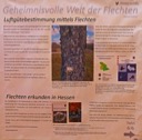06 Luftguetebestimmung mit Flechten und Flechten erkunden in Hessen - GS